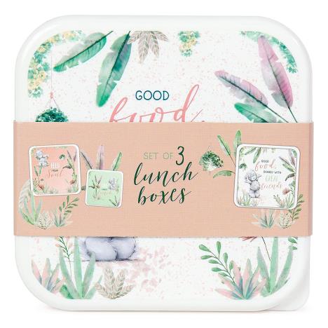 Me to You Bear Lunch Boxes (Set of 3) Extra Image 1